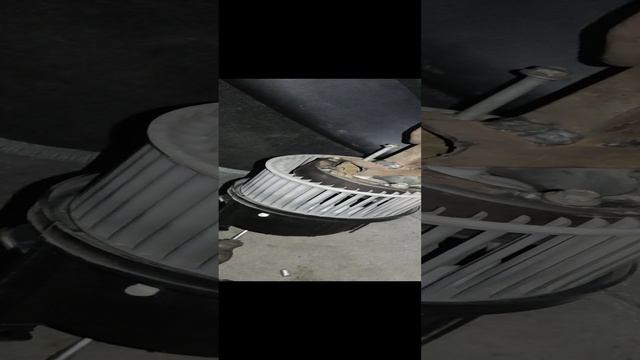 1000047864.mp4