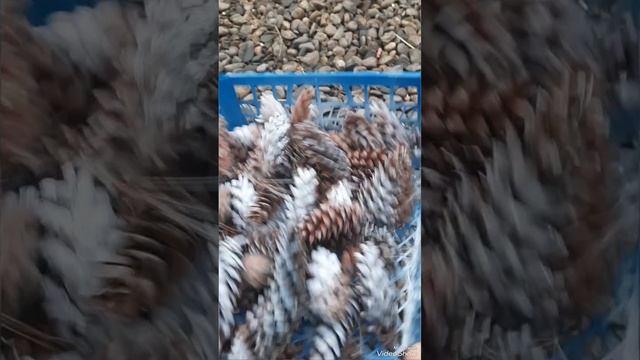 поделка из шишки