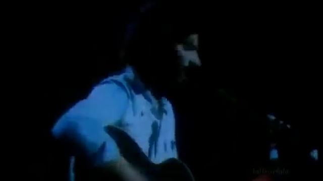 Cat Stevens - Wild World (Live, 1971)
