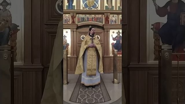 Какой властью ты это делаешь? О смиренном принятии Господа. Проповедь о. Вячеслава. 11.12.24