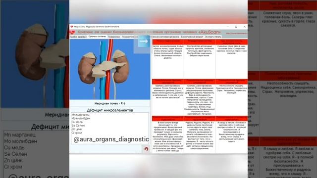 AkuScan -  комплекс тестирования биоэнергетического состояния организма, меридианы, органы, кости
