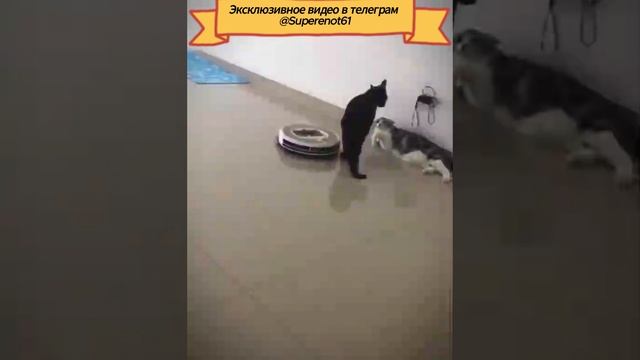 Ковырные пылисосы
