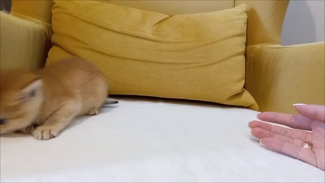 1000019209.mp4
