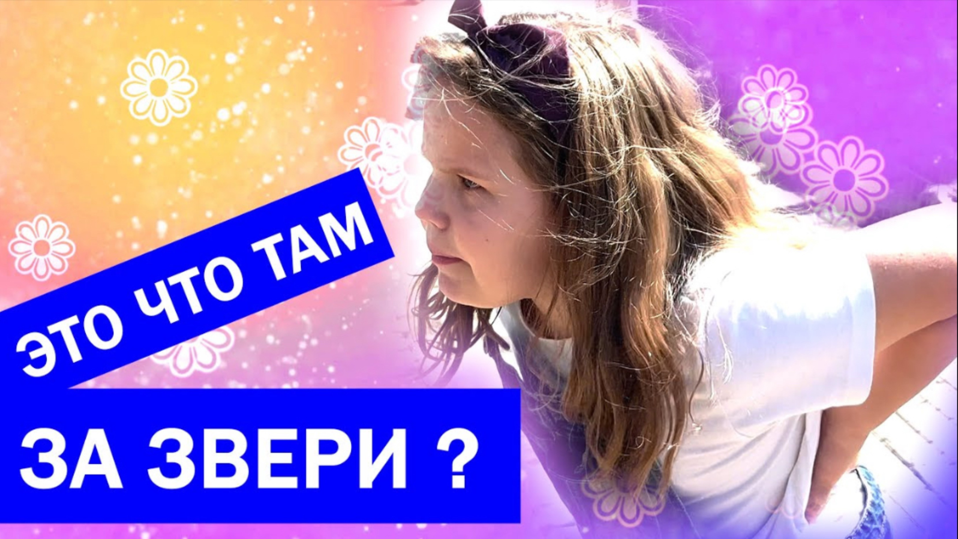 Что там за звери?