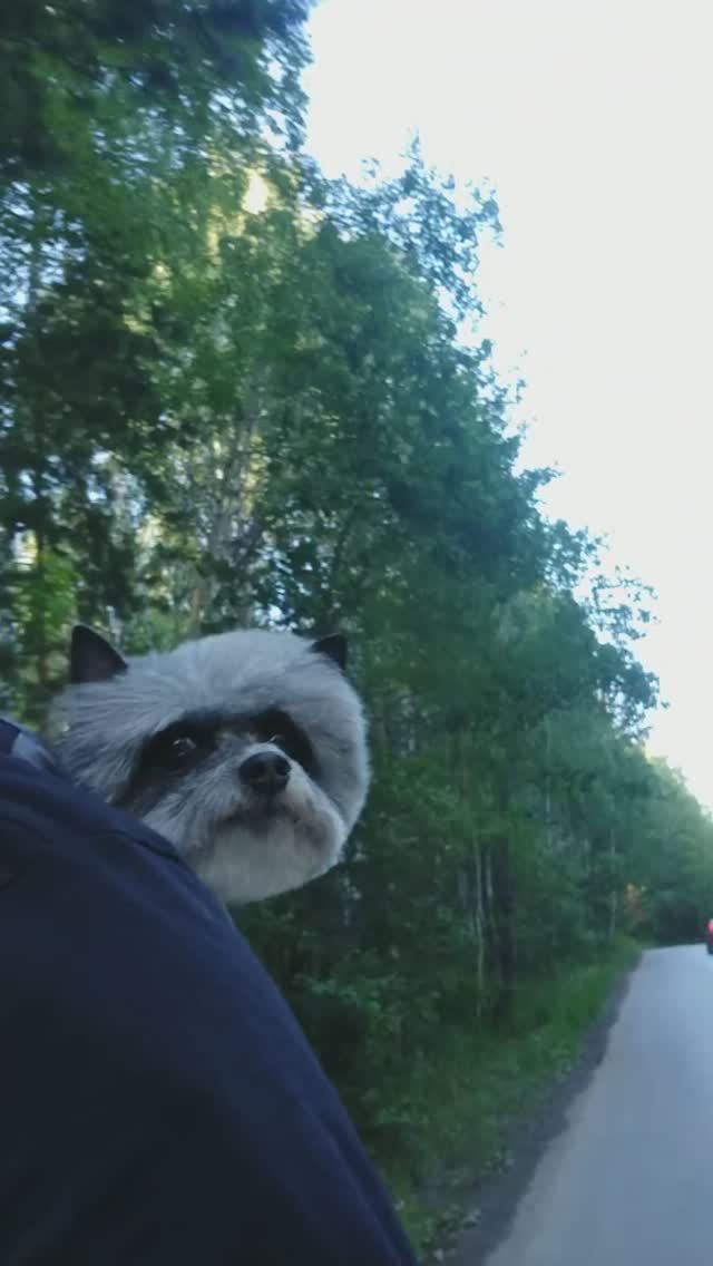 #велопрогулка