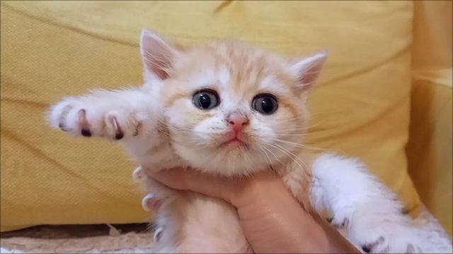 1000019190.mp4