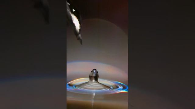 Капля воды снята со скоростью 20 000 кадров в секунду