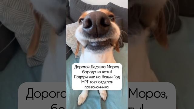 Как успешная женщина прошу 🥲