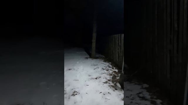 Отзыв №144 ⭐⭐⭐⭐⭐ - Уличный прожектор муляж камеры на солнечной батарее AG Smart