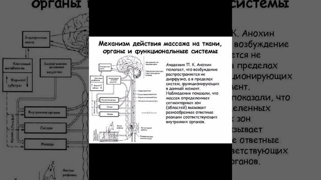 Медицинские картинки.