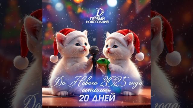 11.12.2024 . До Нового Года осталось 20 дней !