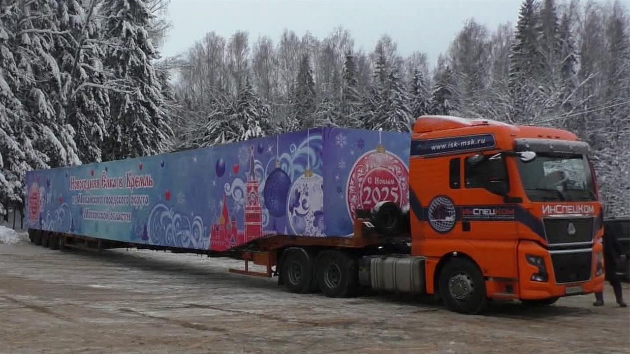 Главную новогоднюю елку страны везут в Москву