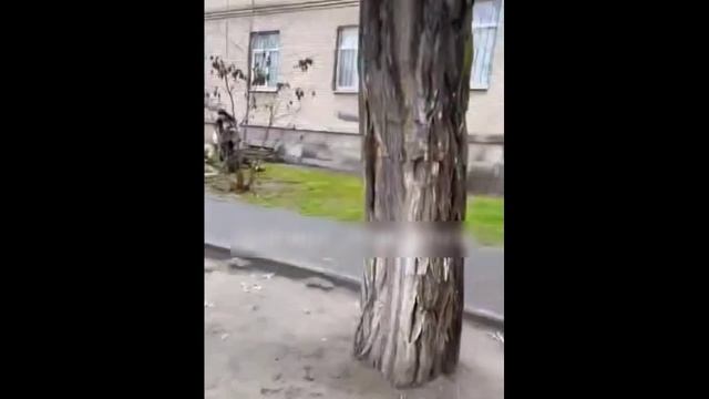 Днепропетровск_ Ты вчера не помог соседу с лева, сегодня сосед с права не поможет тебе