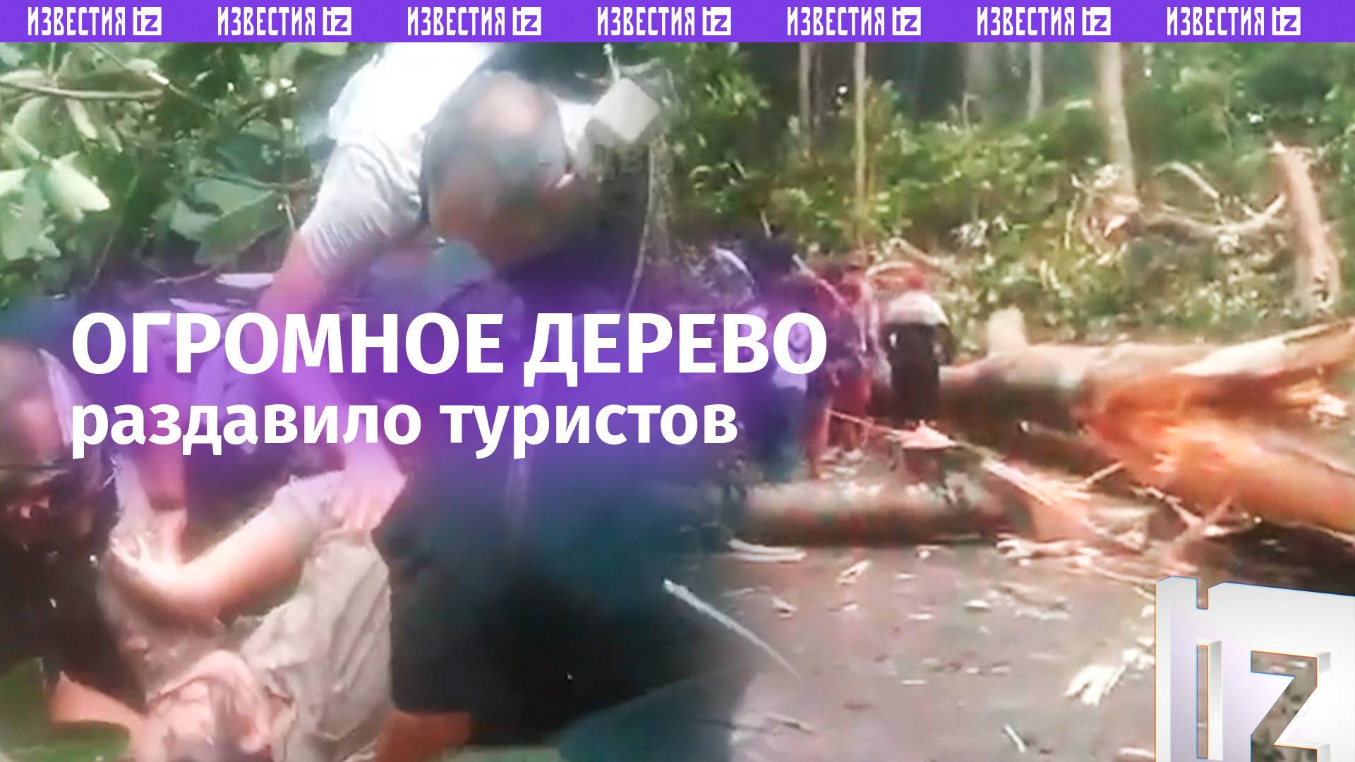 Дерево-«убийца» раздавило толпу туристов на Бали – двое погибли