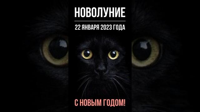 #shorts Новолуние 22 января 2023 года / С Новым Годом!