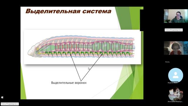 8 класс_11.12_26_Кольчатые ч