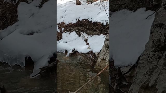 Гаспринские озера. 20.03.22.