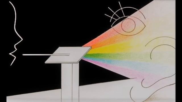 Görme Engellilere Uzaktan Eğitim ile YGS Matematik Polinomlar -1(Polinom Kavramı)