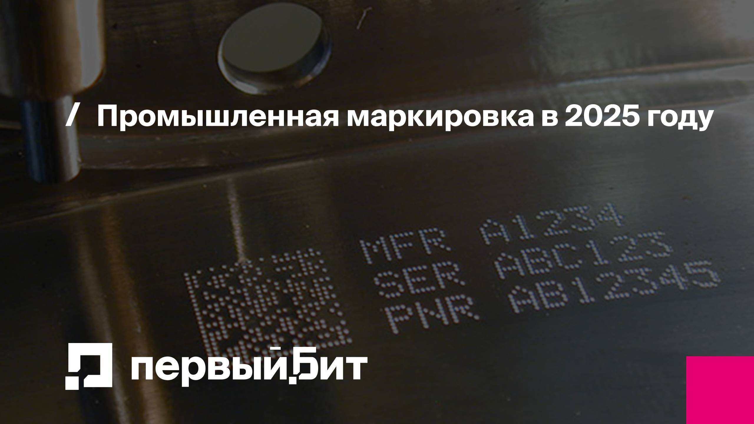 Промышленная маркировка в 2025 году | Первый Бит | Вебинар