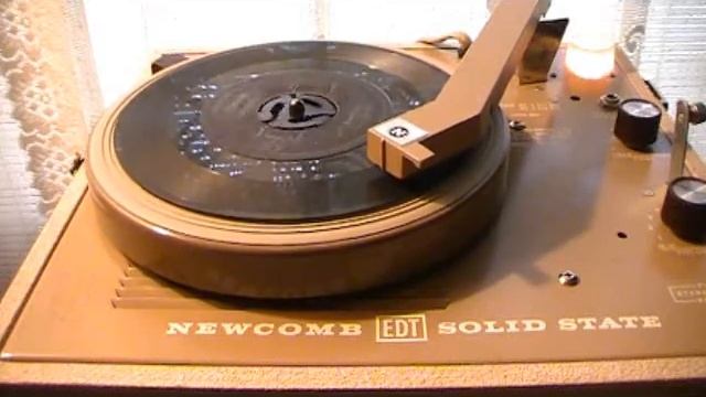 45's - Wheelin' And A-Dealin' - The Danleers (Mercury)