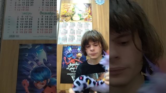 Обзор мчкой игрушки змея