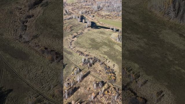 Сибирь в кадре. Осенние пейзажи