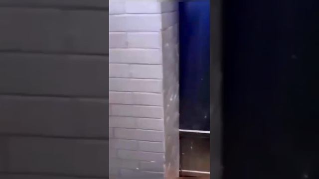 Подпишись тут будет много интересного!!!!!