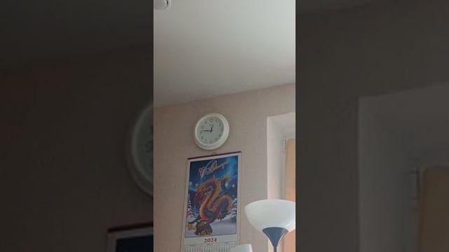 Чмо и пилорама 11.12.24/ 12:45