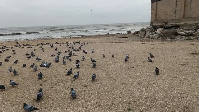 10.12.2024 МАХАЧКАЛА ГОРОДСКОЙ ПЛЯЖ 🌊