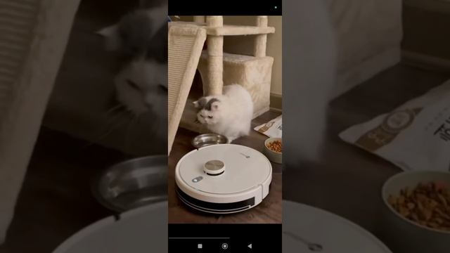 1000108259.mp4