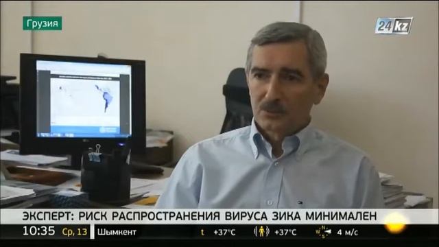 Эксперт: риск распространения вируса Зика минимален