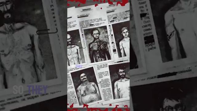 the horrifying russian sleep experiment