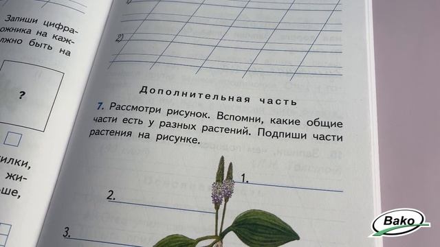 Итоговые комплексные работы. 1 класс