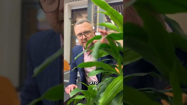 Как подобрать кухонную мойку и сделать пространство кухни  идеальным?