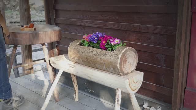 BRUCKE. Flower bed and planter in my garden