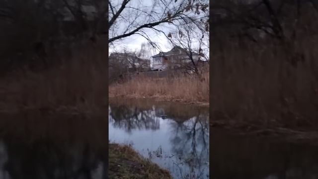 У реки в парке)