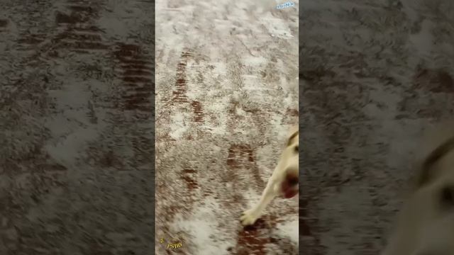 Все в песочницу
