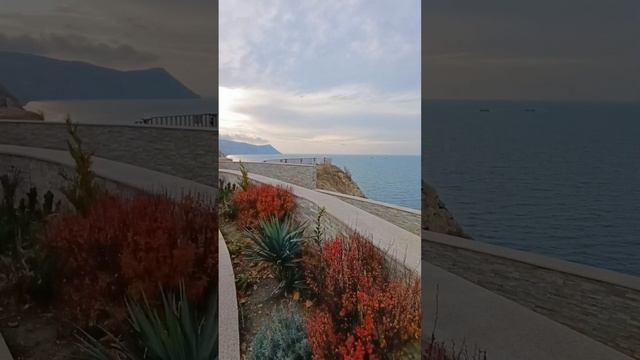 Анапа 11.12.2024