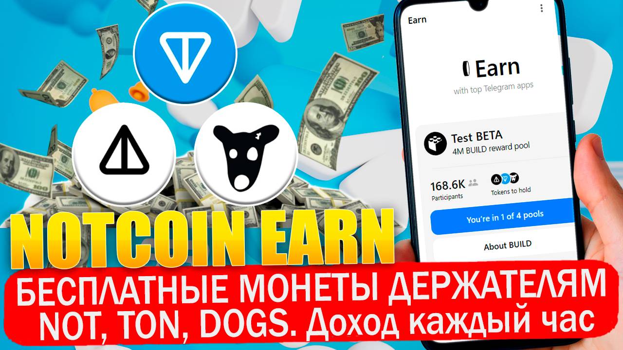 🏆 Notcoin Earn. Легки деньги за хранение NOT, TON, DOGS. Бесплатные раздачи монет в лаунчпуле