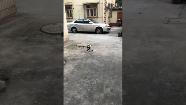 и сразу плакать