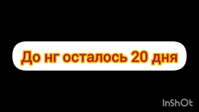 до нг осталось 20 дня