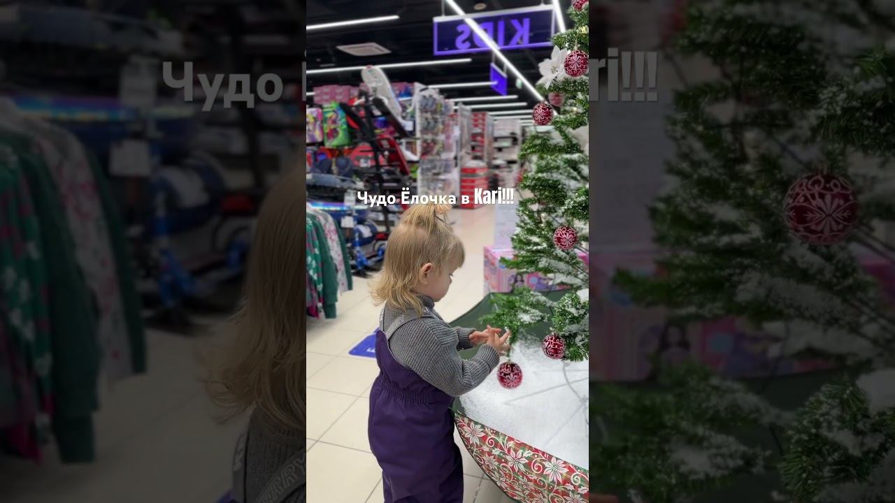2 декабря 2024 г.