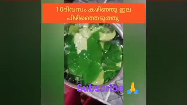 #shortvideo #Danthapala oil #Dandruff oil #