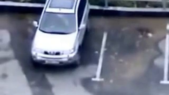 Мужика нарезает круги )))