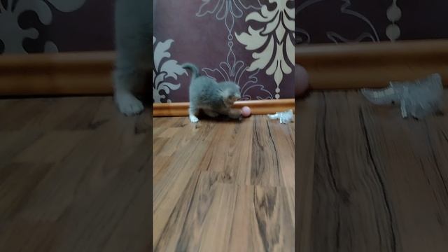 1000005133.mp4
