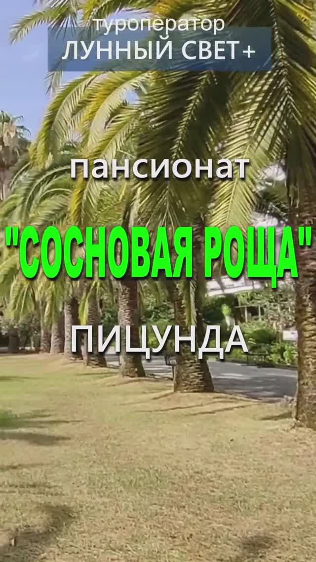 💥Пансионат СОСНОВАЯ РОЩА, Пицунда - открыта продажа путевок на ЛЕТО - 2025 год!🔥