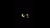 neon black screen effects | neon light black screen effect | neon effect black screen video