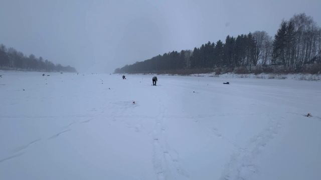 Бешеный клев щуки на жерлицы. Вазуза первый лед.