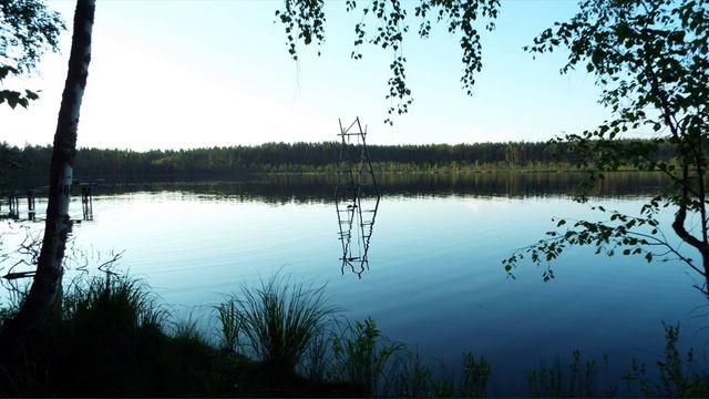 Хозяйки нет, но мошенник держится