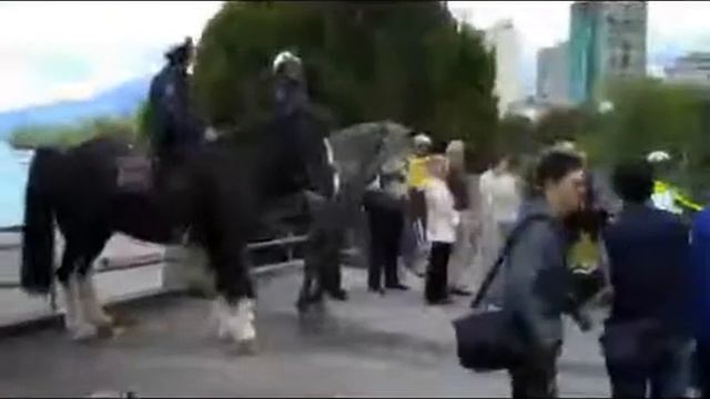 Police Beach Patrol